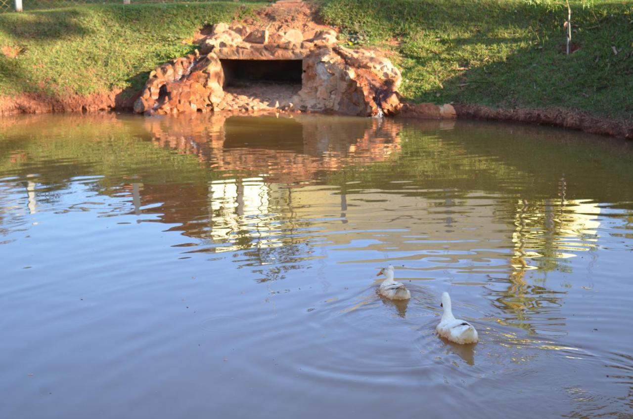 Pousada Coqueiro Verde Minas Gerais 马特乌斯莱米 外观 照片